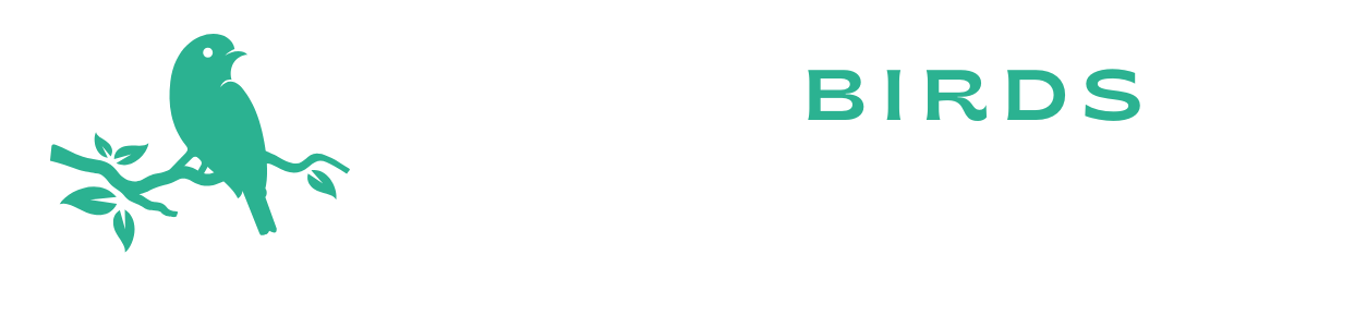 arranbirdsofprey.com